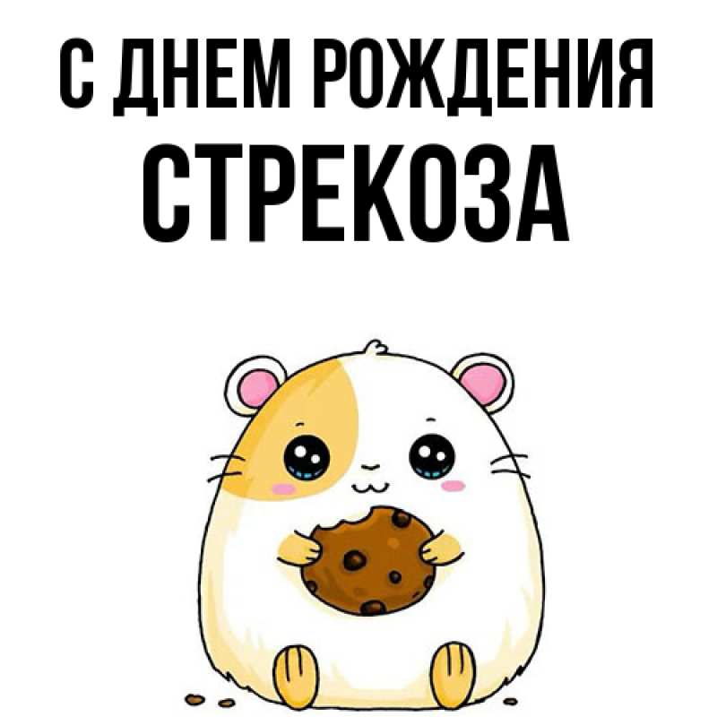 Картинка С днем рождения, Стрекоза