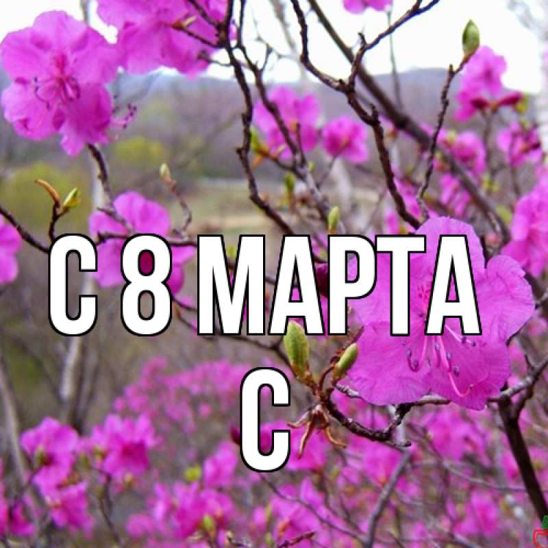 Картинка C 8 МАРТА, С