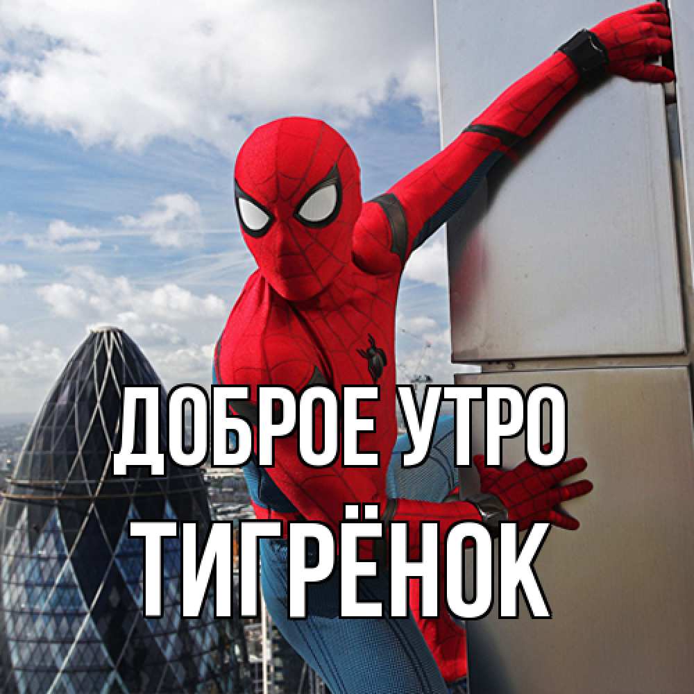 Открытка на каждый день с именем, Тигрёнок Доброе утро марвел герои Прикольная открытка с пожеланием онлайн скачать бесплатно 