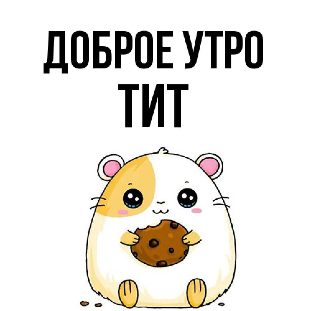 Открытка на каждый день с именем, Тит Доброе утро есть печеньку. Утречко Прикольная открытка с пожеланием онлайн скачать бесплатно 