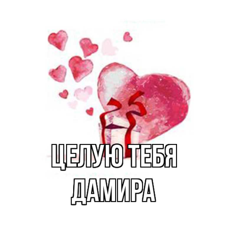 Картинка Целую тебя, Дамира