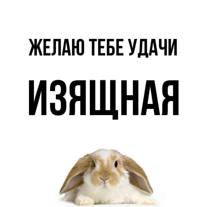 Картинка Желаю тебе удачи, Изящная