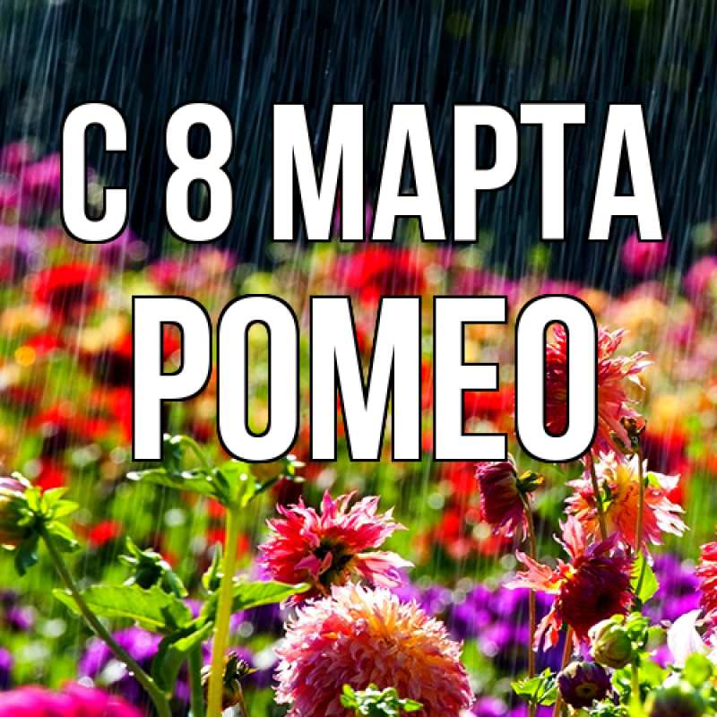 Картинка C 8 МАРТА, Ромео