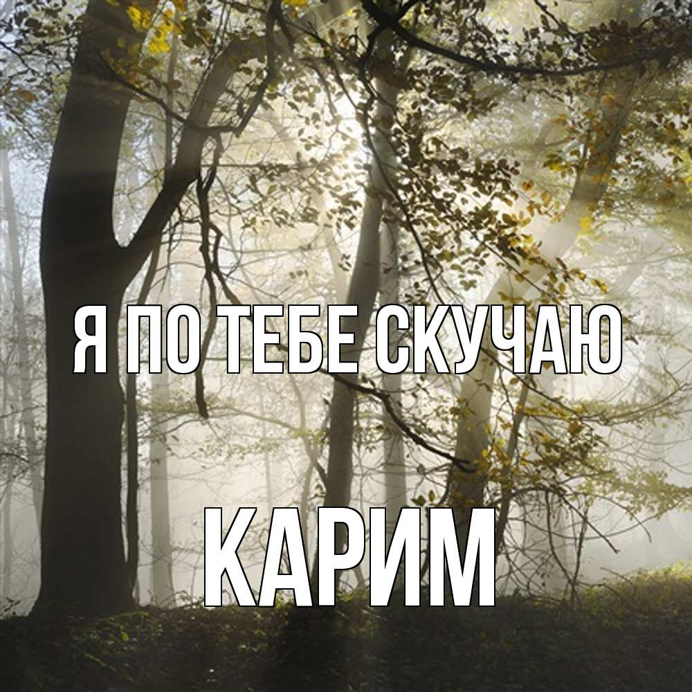 Открытка на каждый день с именем, Карим Я по тебе скучаю грустно Прикольная открытка с пожеланием онлайн скачать бесплатно 