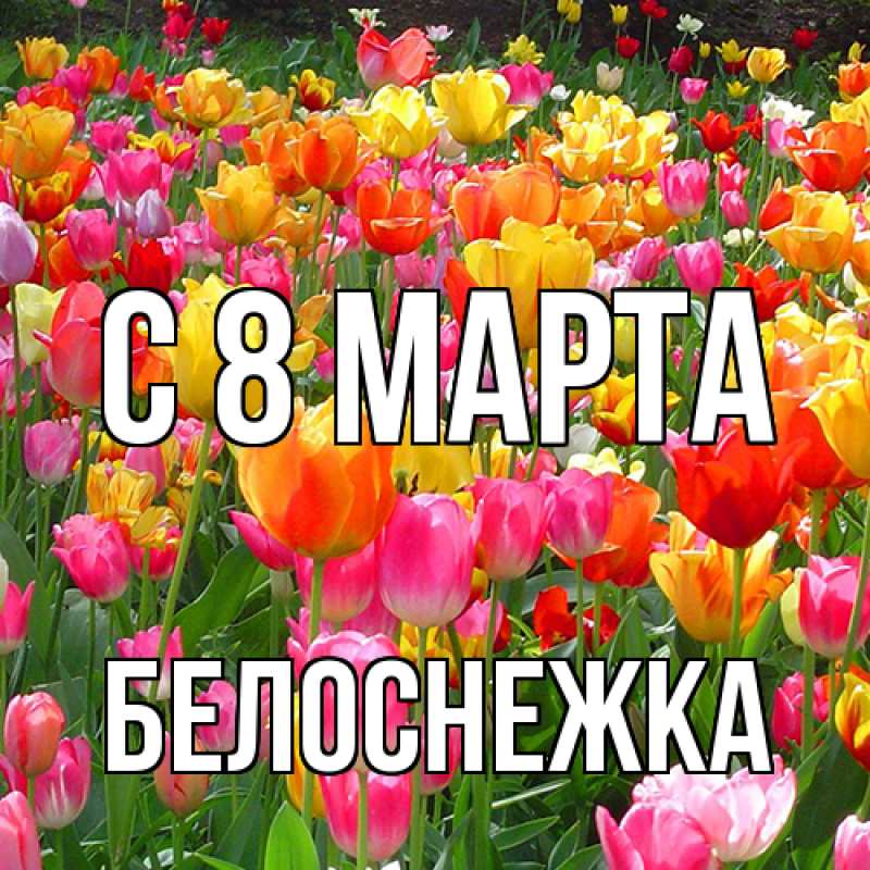 Картинка C 8 МАРТА, Белоснежка