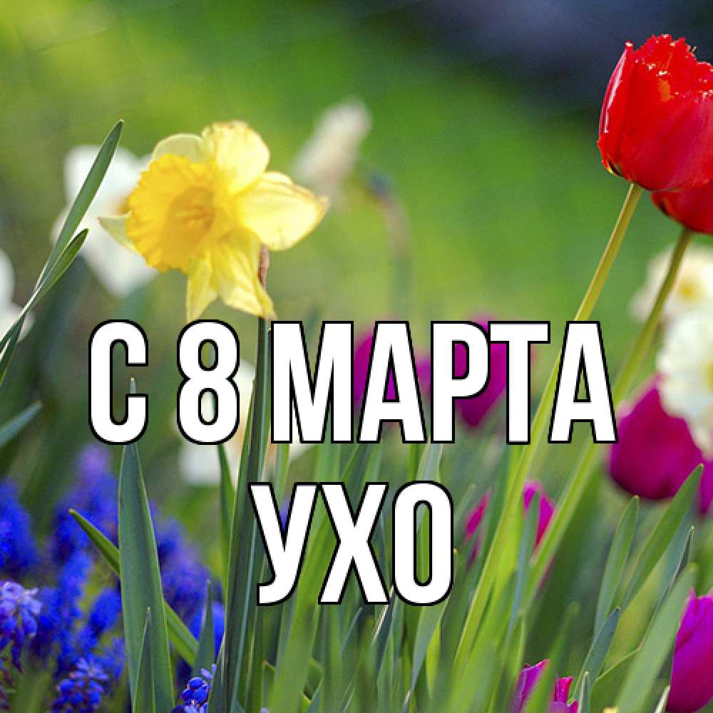 Открытка на каждый день с именем, Ухо C 8 МАРТА международный женский день 3 Прикольная открытка с пожеланием онлайн скачать бесплатно 