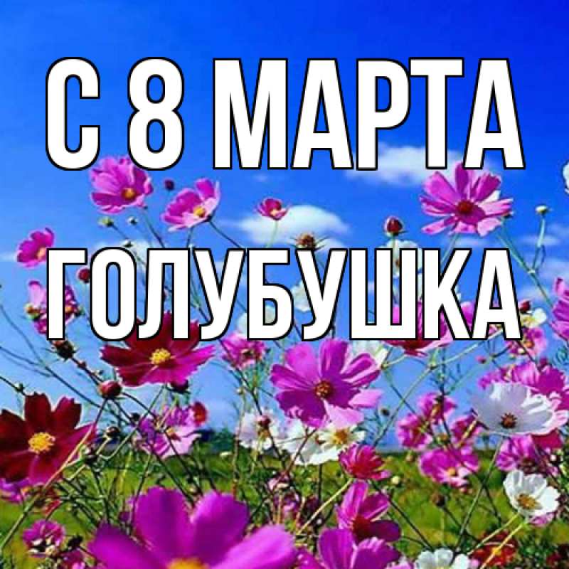 Картинка C 8 МАРТА, Голубушка