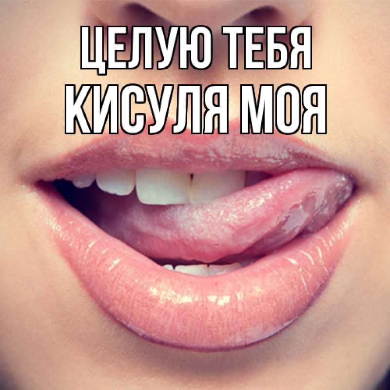 Картинка Целую тебя, Кисуля моя