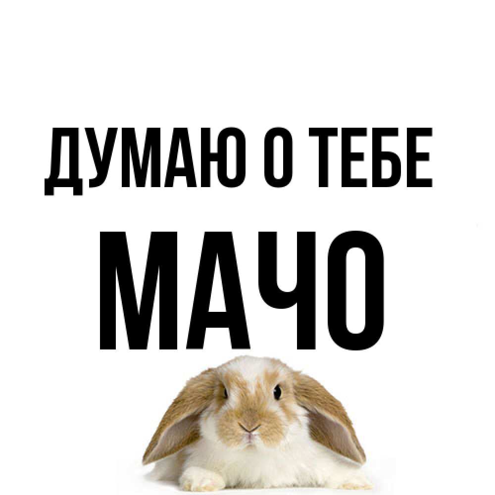 Открытка на каждый день с именем, Мачо Думаю о тебе подписать своими руками онлайн Прикольная открытка с пожеланием онлайн скачать бесплатно 