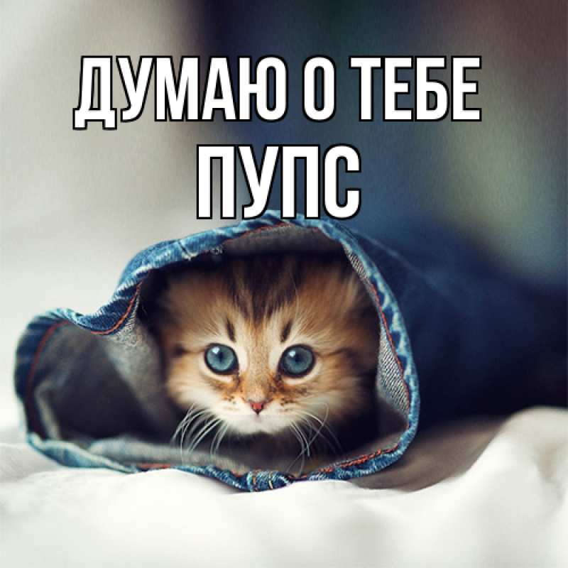 Картинка Думаю о тебе, Пупс