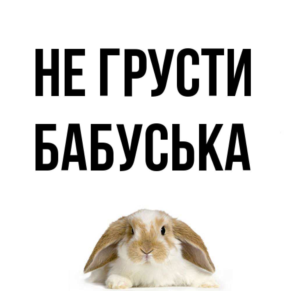 Открытка на каждый день с именем, Бабуська Не грусти коричнево белый заяц с большими ушками Прикольная открытка с пожеланием онлайн скачать бесплатно 