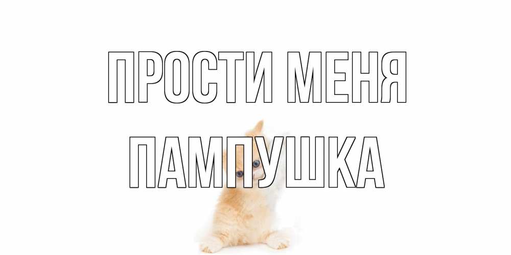 Открытка на каждый день с именем, Пампушка Прости меня кот Прикольная открытка с пожеланием онлайн скачать бесплатно 