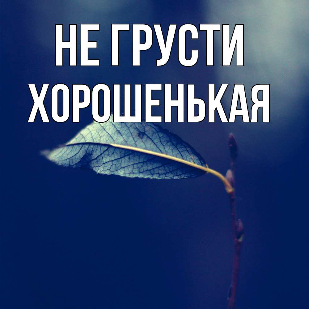 Открытка на каждый день с именем, хорошенькая Не грусти растение Прикольная открытка с пожеланием онлайн скачать бесплатно 