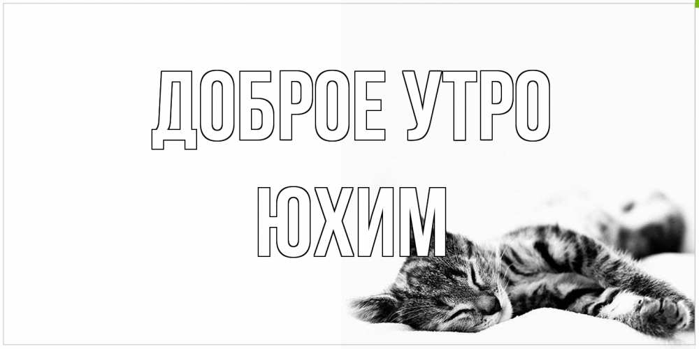 Открытка на каждый день с именем, Юхим Доброе утро котуся Прикольная открытка с пожеланием онлайн скачать бесплатно 