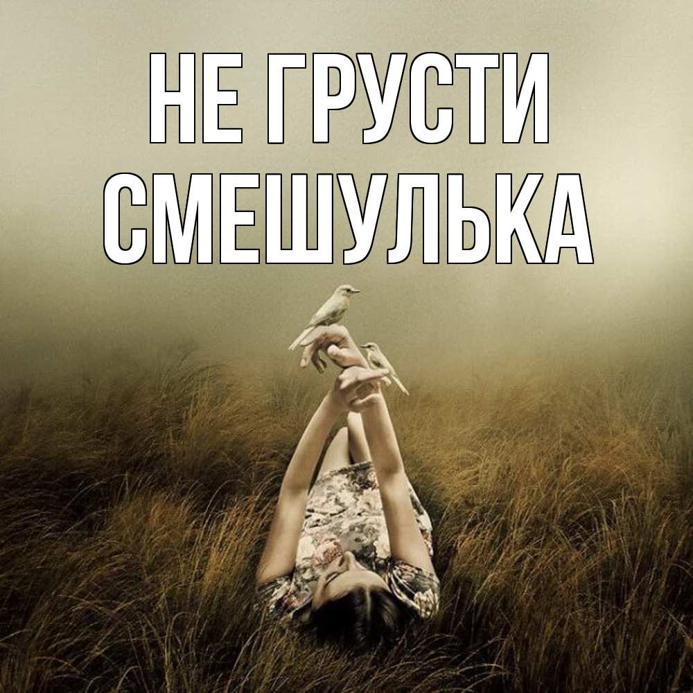 Открытка на каждый день с именем, Смешулька Не грусти поле и туман Прикольная открытка с пожеланием онлайн скачать бесплатно 