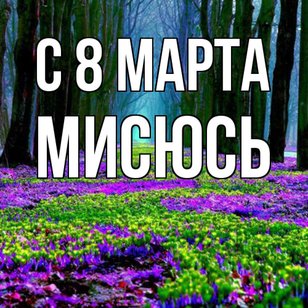 Открытка на каждый день с именем, мисюсь C 8 МАРТА фиолетовые цветы в лесу 1 Прикольная открытка с пожеланием онлайн скачать бесплатно 