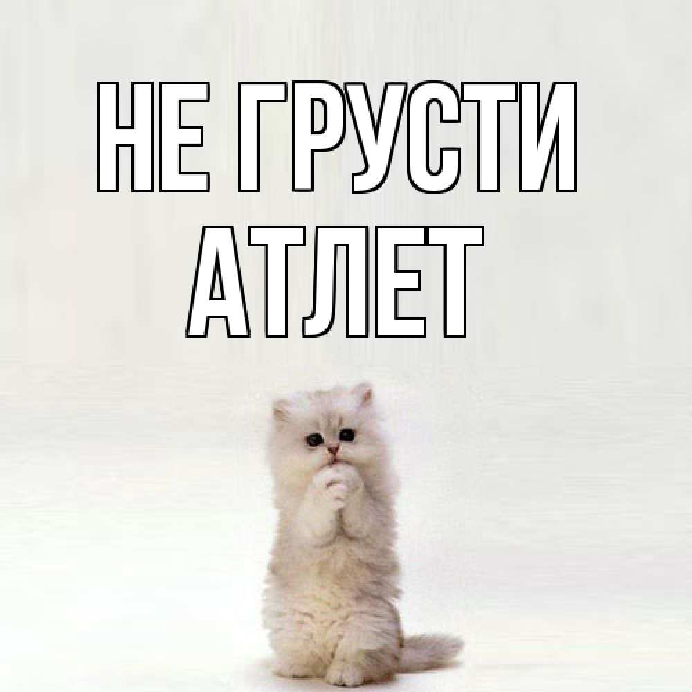 Открытка на каждый день с именем, Атлет Не грусти грустный кот Прикольная открытка с пожеланием онлайн скачать бесплатно 