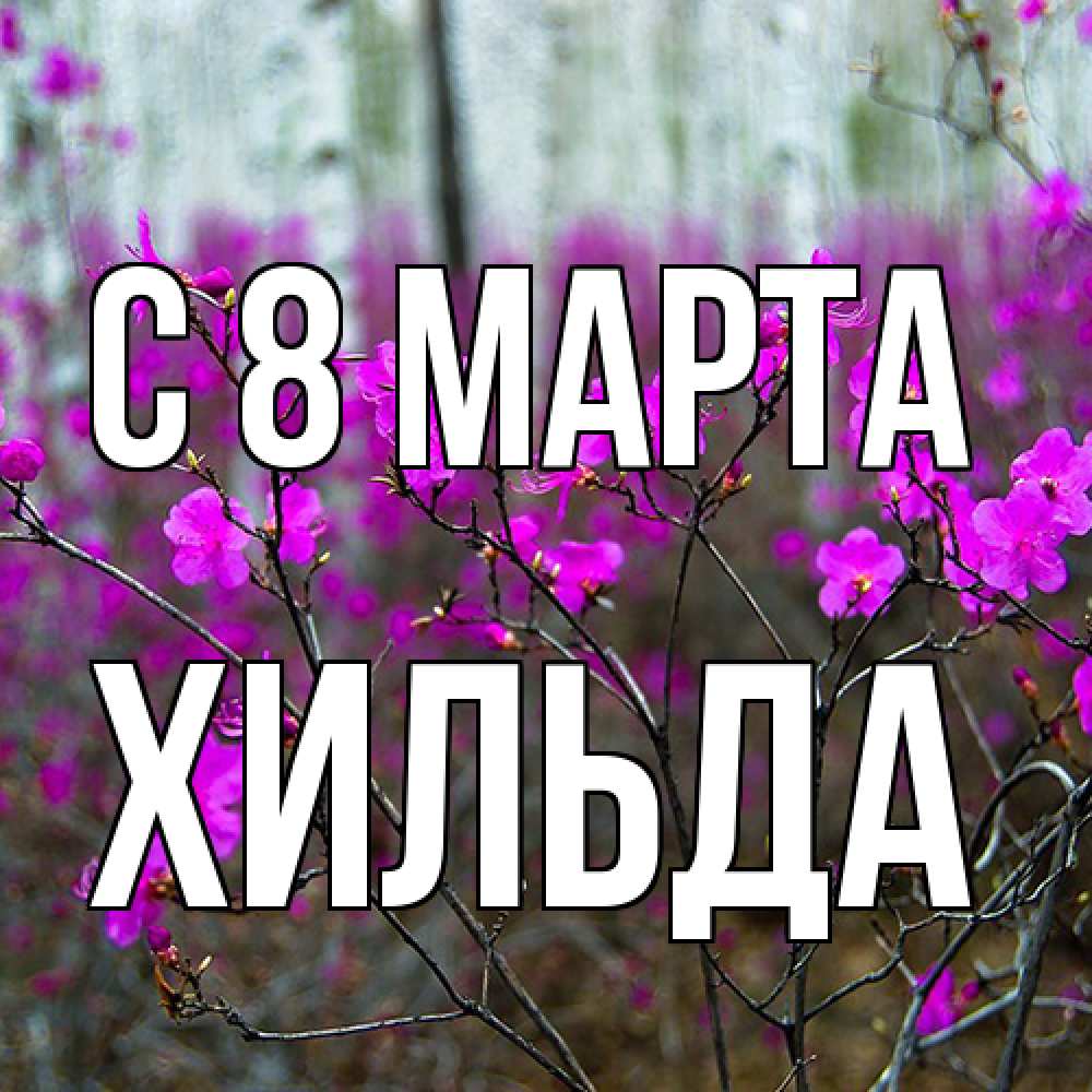 Открытка на каждый день с именем, Хильда C 8 МАРТА дикие цветы Прикольная открытка с пожеланием онлайн скачать бесплатно 