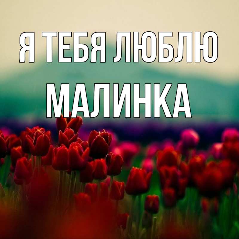 Картинка Я тебя люблю, Малинка