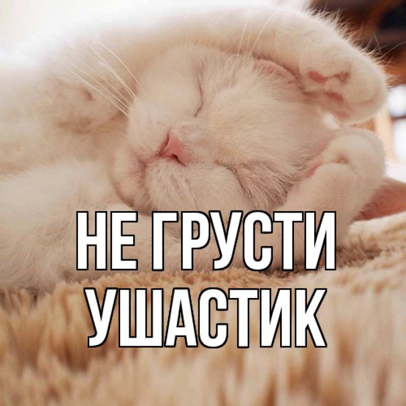 Картинка Не грусти, Ушастик