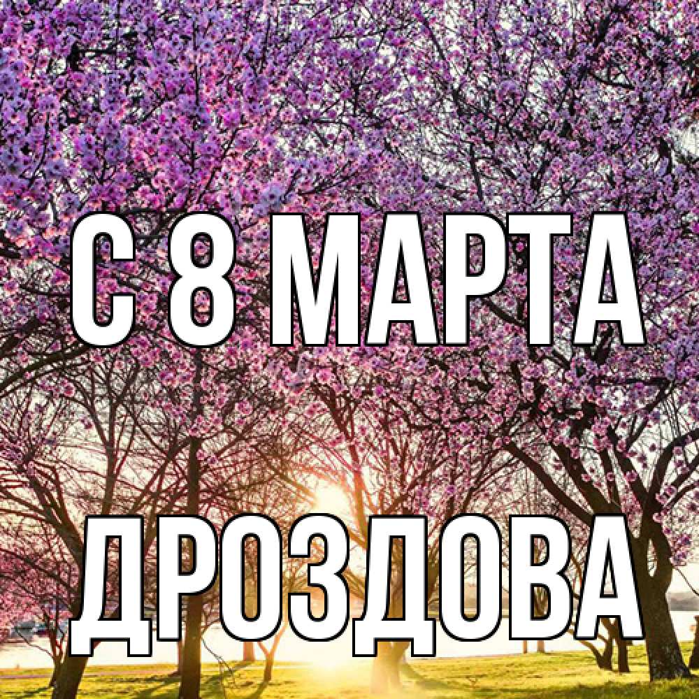 Открытка на каждый день с именем, Дроздова C 8 МАРТА международный женский день Прикольная открытка с пожеланием онлайн скачать бесплатно 