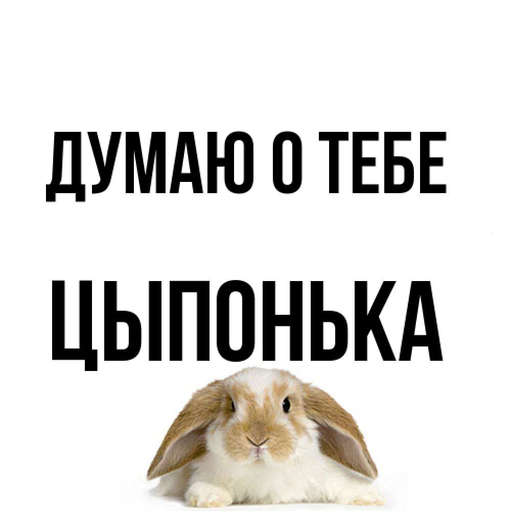 Открытка на каждый день с именем, Цыпонька Думаю о тебе подписать своими руками онлайн Прикольная открытка с пожеланием онлайн скачать бесплатно 