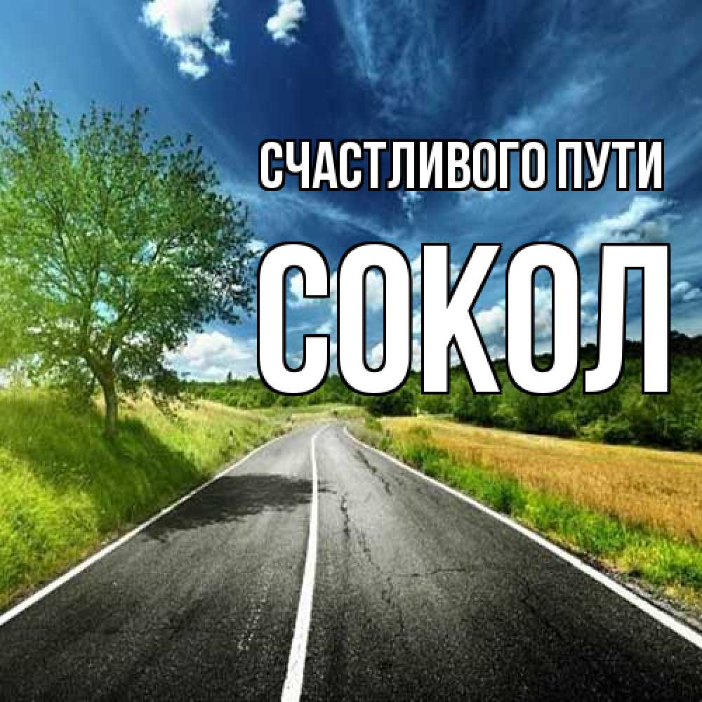 Открытка на каждый день с именем, Сокол Счастливого пути яркие деревья и небо Прикольная открытка с пожеланием онлайн скачать бесплатно 