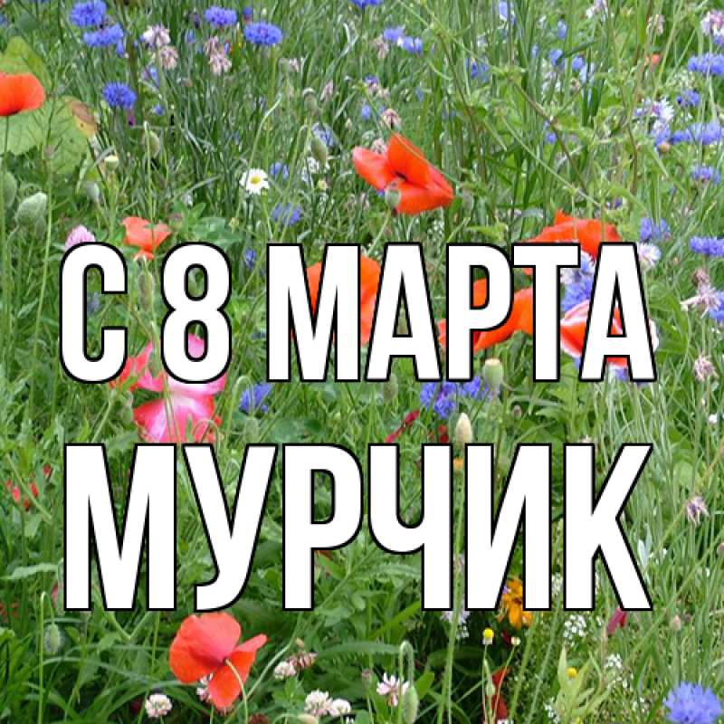 Картинка C 8 МАРТА, Мурчик
