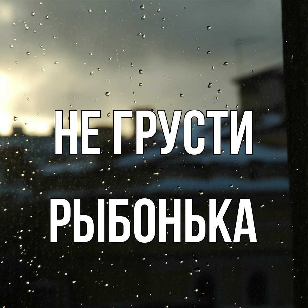 Открытка на каждый день с именем, Рыбонька Не грусти вид на крыши Прикольная открытка с пожеланием онлайн скачать бесплатно 