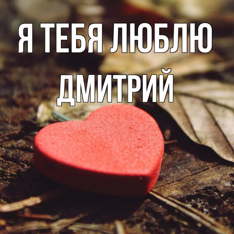 Картинка Я тебя люблю, Дмитрий