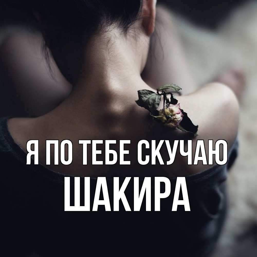 Открытка на каждый день с именем, Шакира Я по тебе скучаю засох цветок Прикольная открытка с пожеланием онлайн скачать бесплатно 