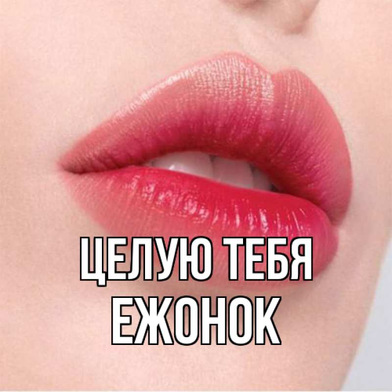 Картинка Целую тебя, Ежонок