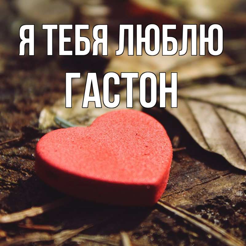 Картинка Я тебя люблю, Гастон
