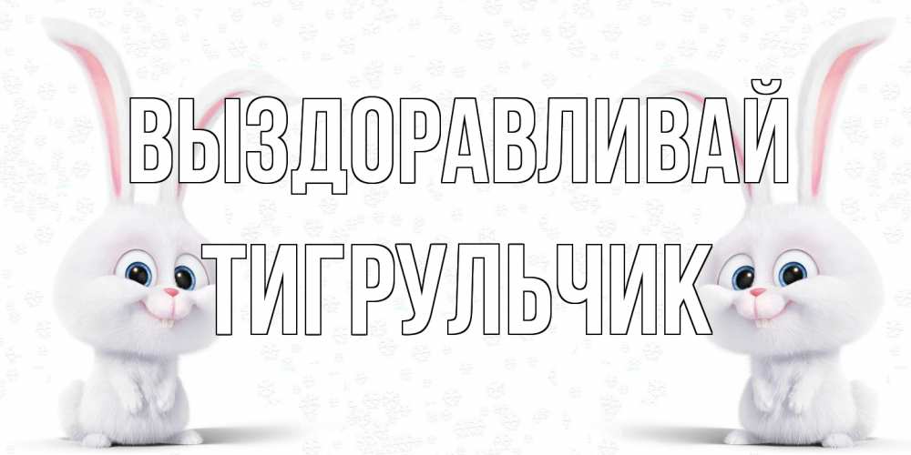 Открытка на каждый день с именем, Тигpульчик Выздоравливай не болей с зайцем Прикольная открытка с пожеланием онлайн скачать бесплатно 
