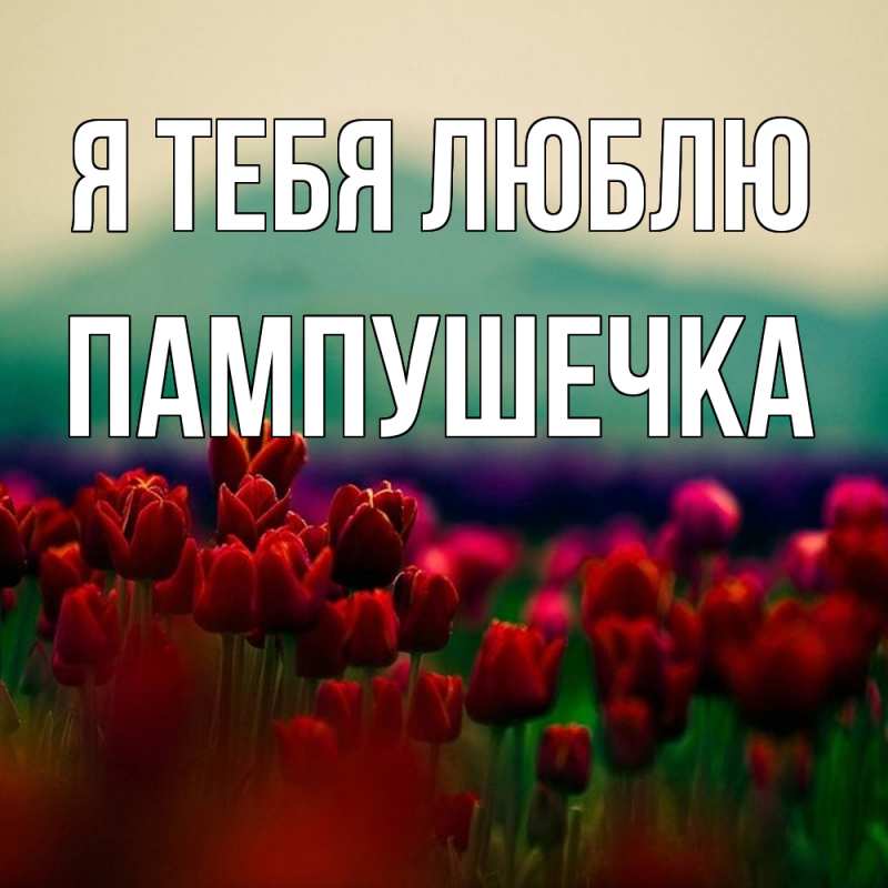 Картинка Я тебя люблю, пампушечка