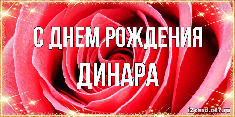 Открытка на каждый день с именем, Динара С днем рождения розовая роза очень крупный бутон Прикольная открытка с пожеланием онлайн скачать бесплатно 
