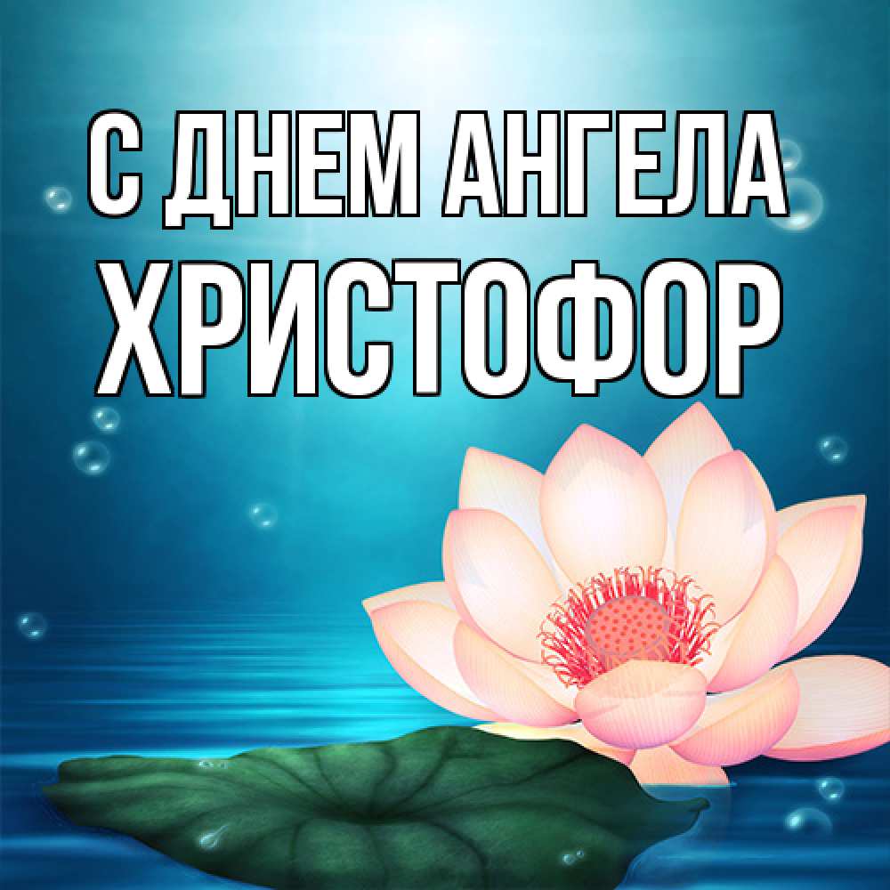 Открытка на каждый день с именем, Христофор С днем ангела кувшинка Прикольная открытка с пожеланием онлайн скачать бесплатно 