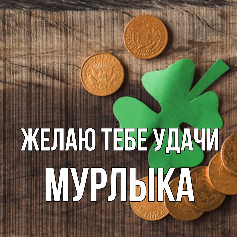 Открытка на каждый день с именем, мурлыка Желаю тебе удачи на удачу сегодня Прикольная открытка с пожеланием онлайн скачать бесплатно 