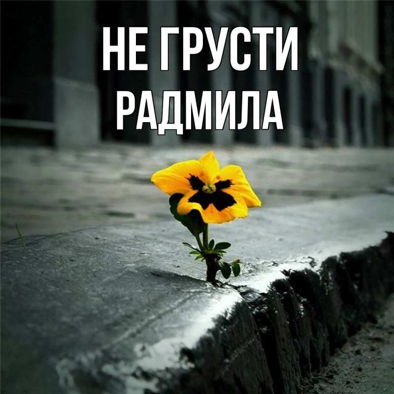 Картинка Не грусти, Радмила