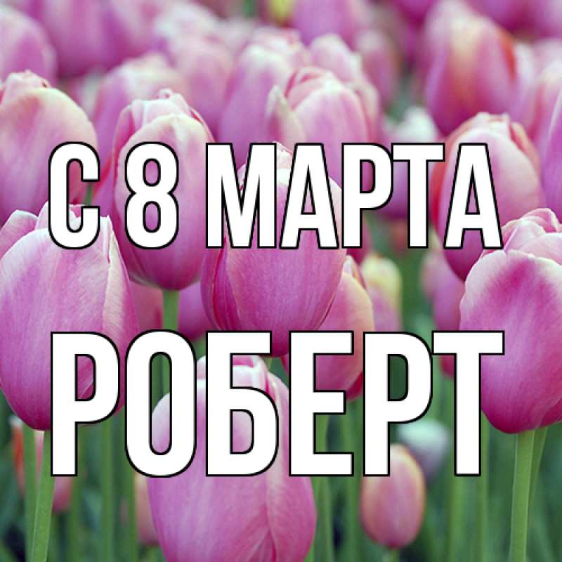 Картинка C 8 МАРТА, Роберт