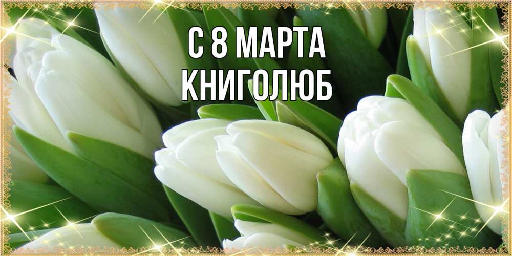 Открытка на каждый день с именем, Книголюб C 8 МАРТА поздравляем с 8 марта Прикольная открытка с пожеланием онлайн скачать бесплатно 