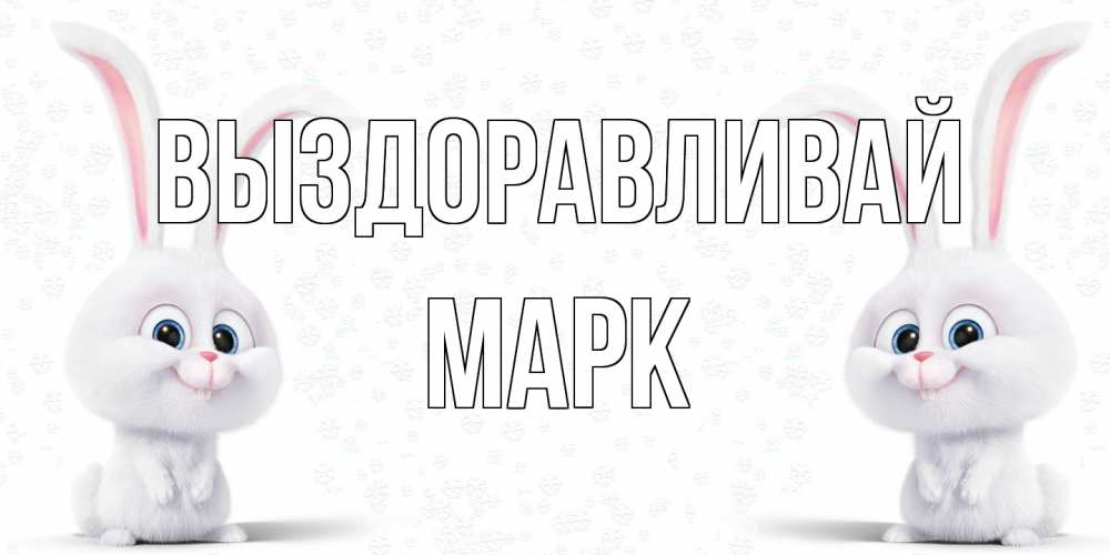 Открытка на каждый день с именем, Марк Выздоравливай не болей с зайцем Прикольная открытка с пожеланием онлайн скачать бесплатно 