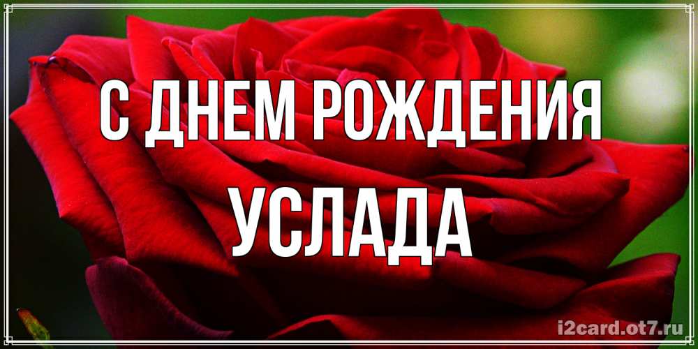 Открытка на каждый день с именем, услада С днем рождения розочка очень красивая Прикольная открытка с пожеланием онлайн скачать бесплатно 