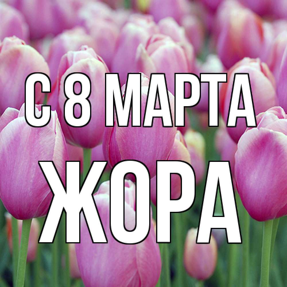Открытка на каждый день с именем, Жора C 8 МАРТА на международный женский день 3 Прикольная открытка с пожеланием онлайн скачать бесплатно 