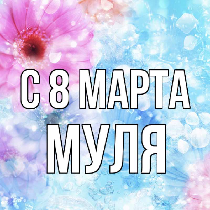 Картинка C 8 МАРТА, Муля