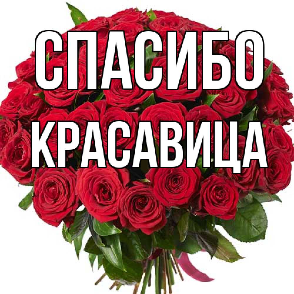 Открытка на каждый день с именем, Красавица Спасибо букет красных роз Прикольная открытка с пожеланием онлайн скачать бесплатно 