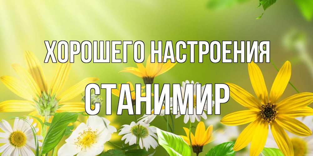 Открытка на каждый день с именем, Станимир Хорошего настроения цветы Прикольная открытка с пожеланием онлайн скачать бесплатно 