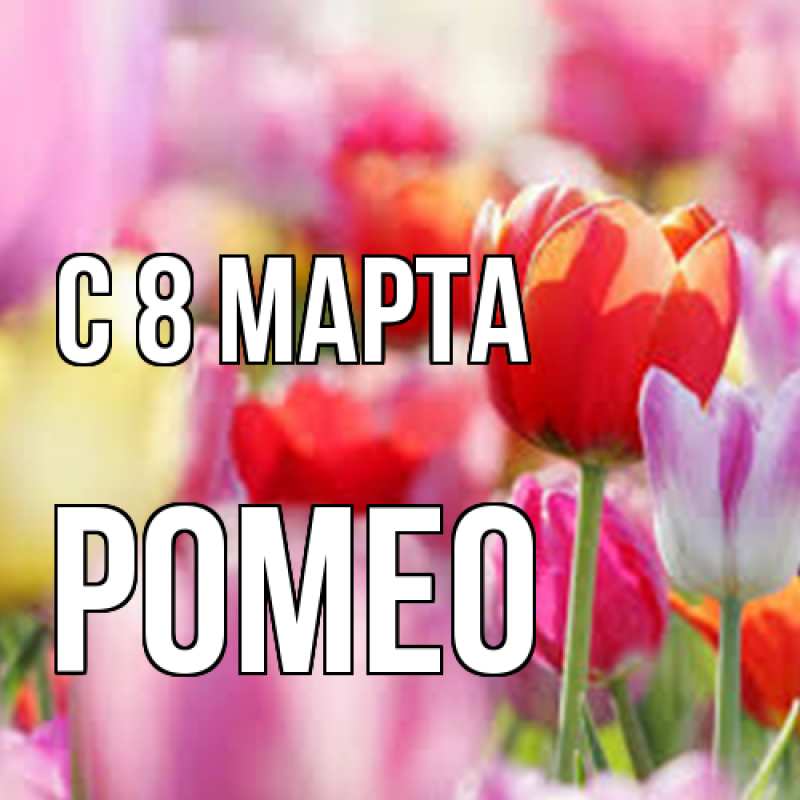 Картинка C 8 МАРТА, Ромео