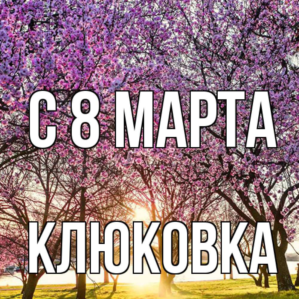 Открытка на каждый день с именем, клюковка C 8 МАРТА международный женский день Прикольная открытка с пожеланием онлайн скачать бесплатно 