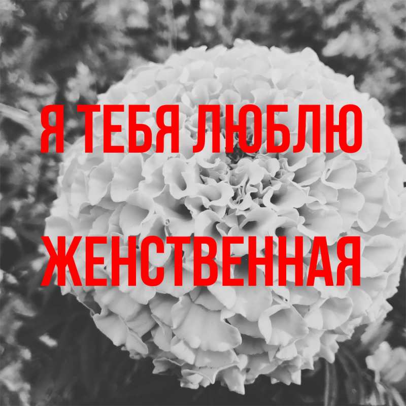 Картинка Я тебя люблю, женственная